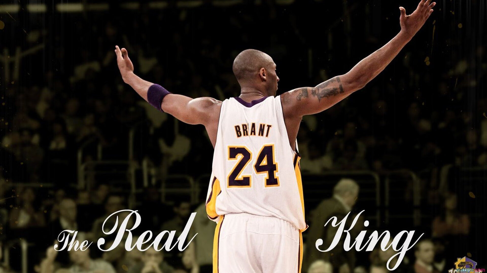 俱乐部公布财年成绩赞助增长显著推动青训与品牌建设同步发展，俱乐部名单